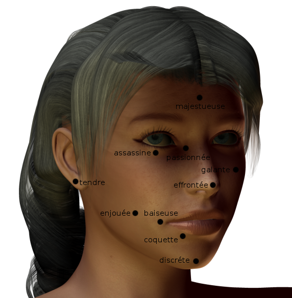 mouches sur le visage